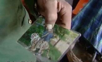 赣州爆料小孩死亡事件最新,幼童不幸离世，事件真相引发社会关注